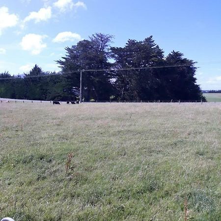 戈尔201Waimumu公寓 外观 照片